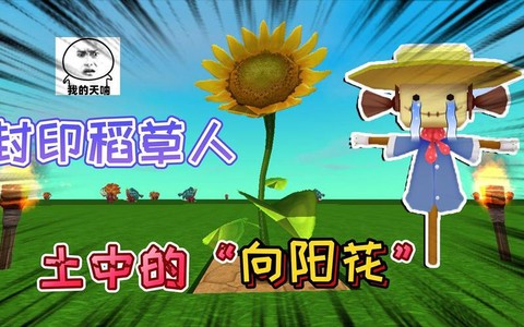 迷你世界向阳花怎么种[图2]