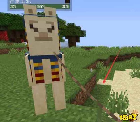 我的世界骑羊驼用什么