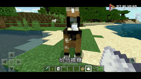 我的世界马吃什么驯化