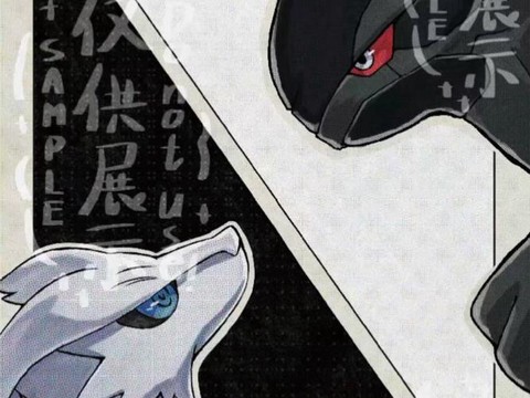 口袋妖怪黑白有什么区别