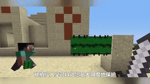 我的世界怎么种仙人掌